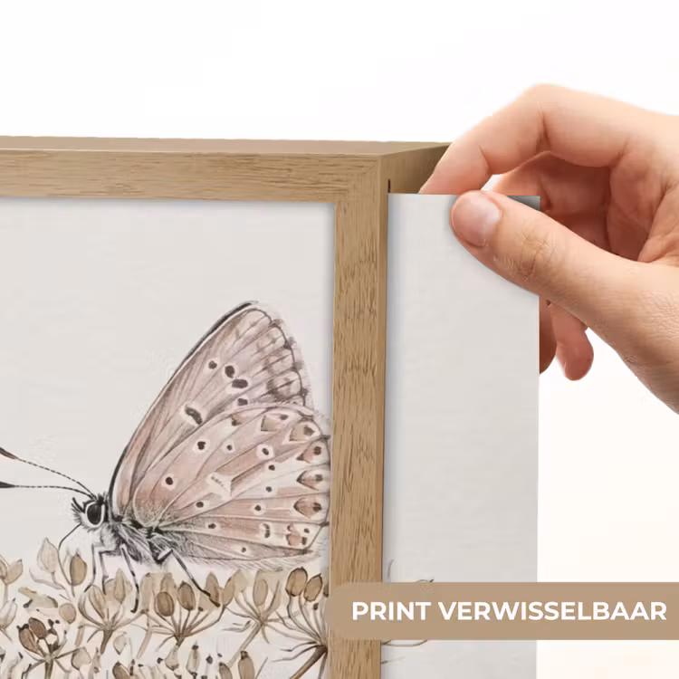 Lightbox - Wandlamp - Vlinder - Bloem -Natuur - Beige — 5