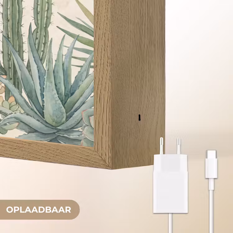 Lightbox - Wandlamp - Woestijn - Planten - Groen — 7