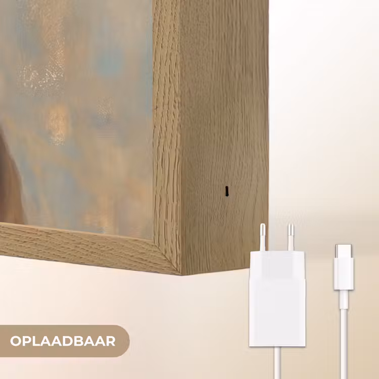 Lightbox - Wandlamp - Portret - Vlinder - Kleurrijk — 7