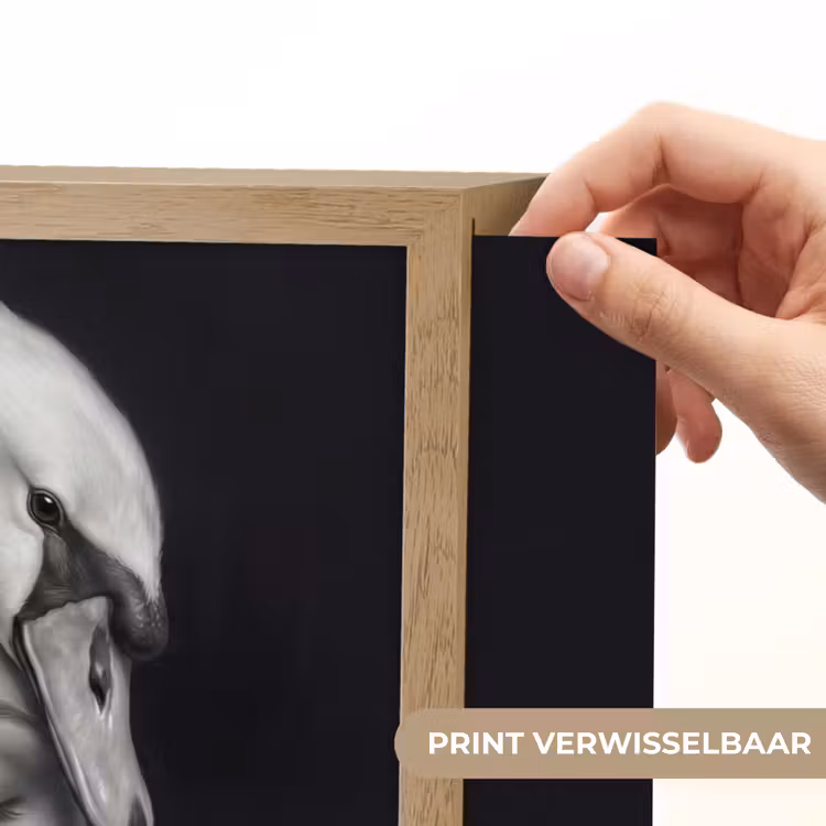 Lightbox - Wandlamp - Portret - Zwaan - Zwart - Wit — 5