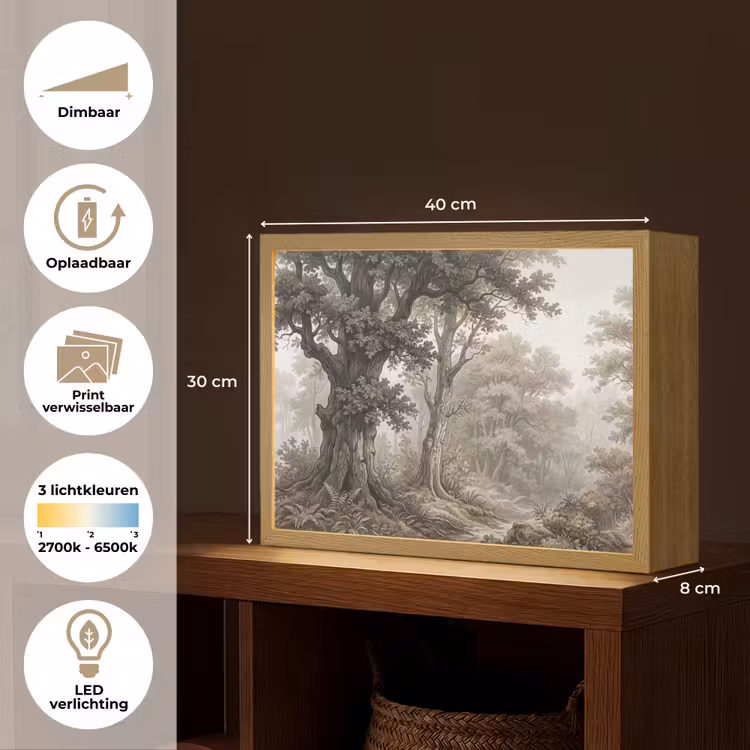 Lightbox - Wandlamp - Natuur - Bos - Eik — 10
