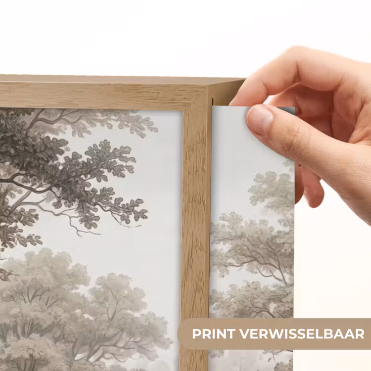 Lightbox - Wandlamp - Natuur - Bos - Eik — 5