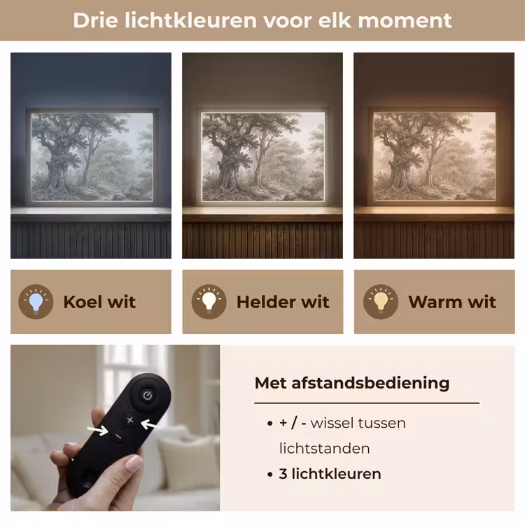Lightbox - Wandlamp - Natuur - Bos - Eik — 8