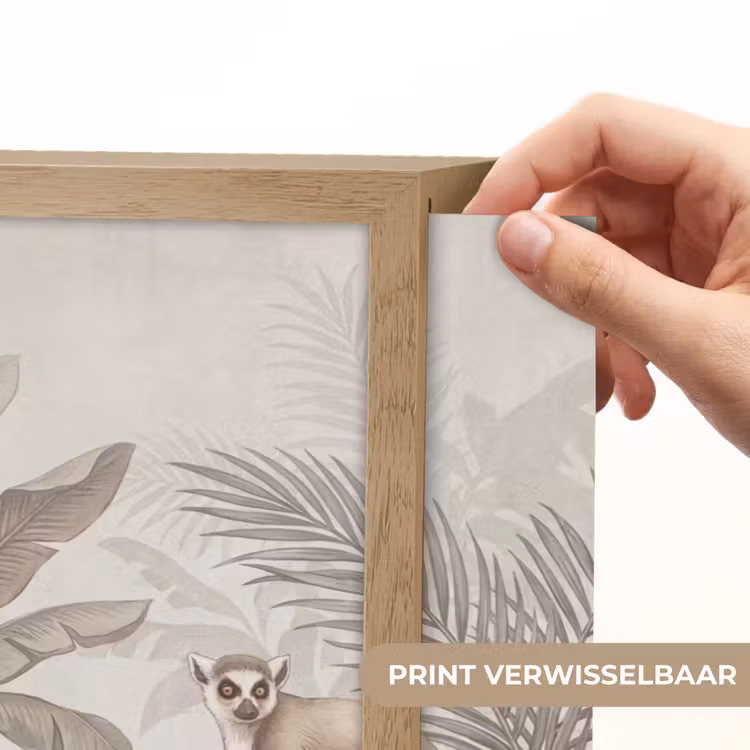 Lightbox - Wandlamp - Natuur - Jungle - Ringstaartmaki - Bruin — 5