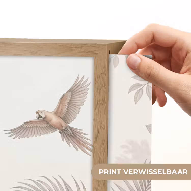 Lightbox - Wandlamp - Papagaai - Jungle - Tropisch — 5