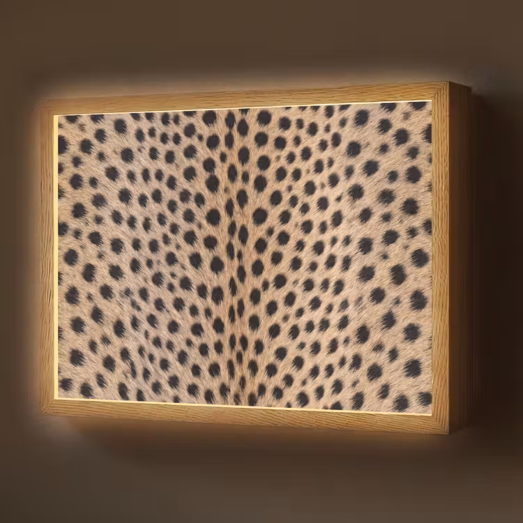 Lightbox - Wandlamp - Vacht - Jachtluipaard - Zwart - Wit — 1