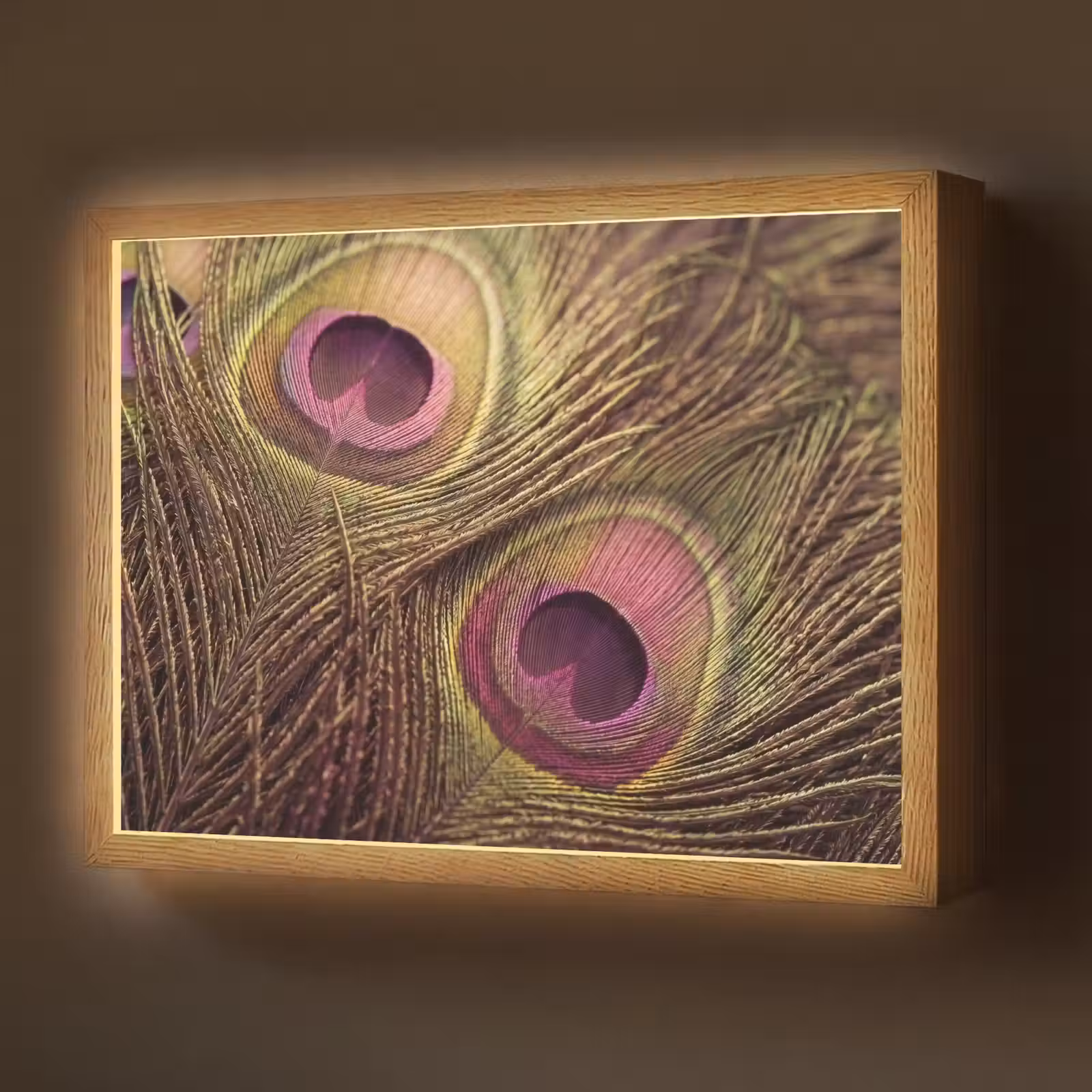 Lightbox - Wandlamp - Pauw - Veren - Paars - Groen — 1