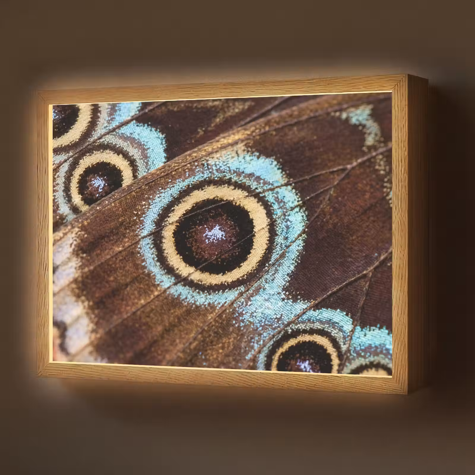 Lightbox - Wandlamp - Vleugels - Vlinder - Blauw — 1