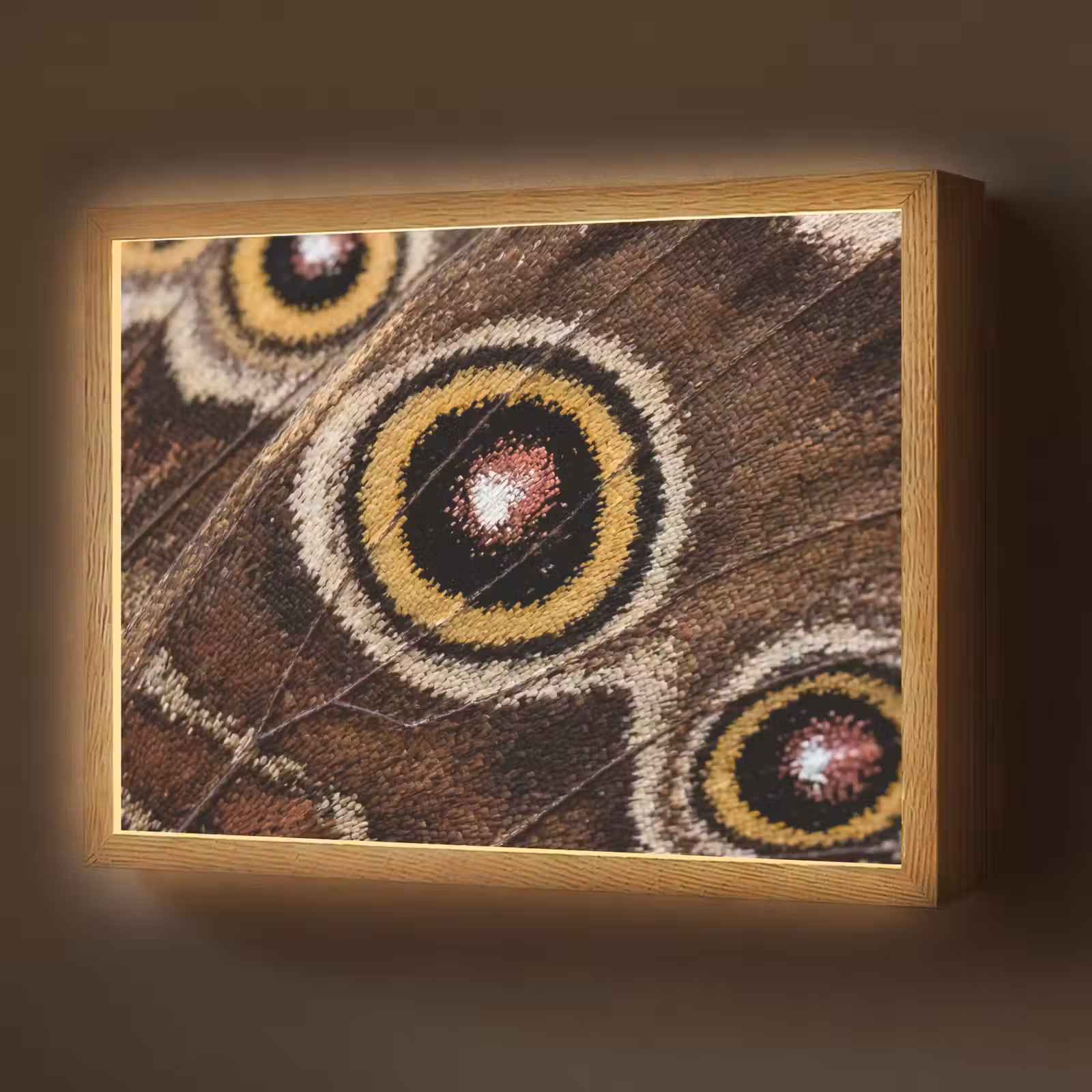 Lightbox - Wandlamp - Vlinder - Vleugel - Abstract — 1