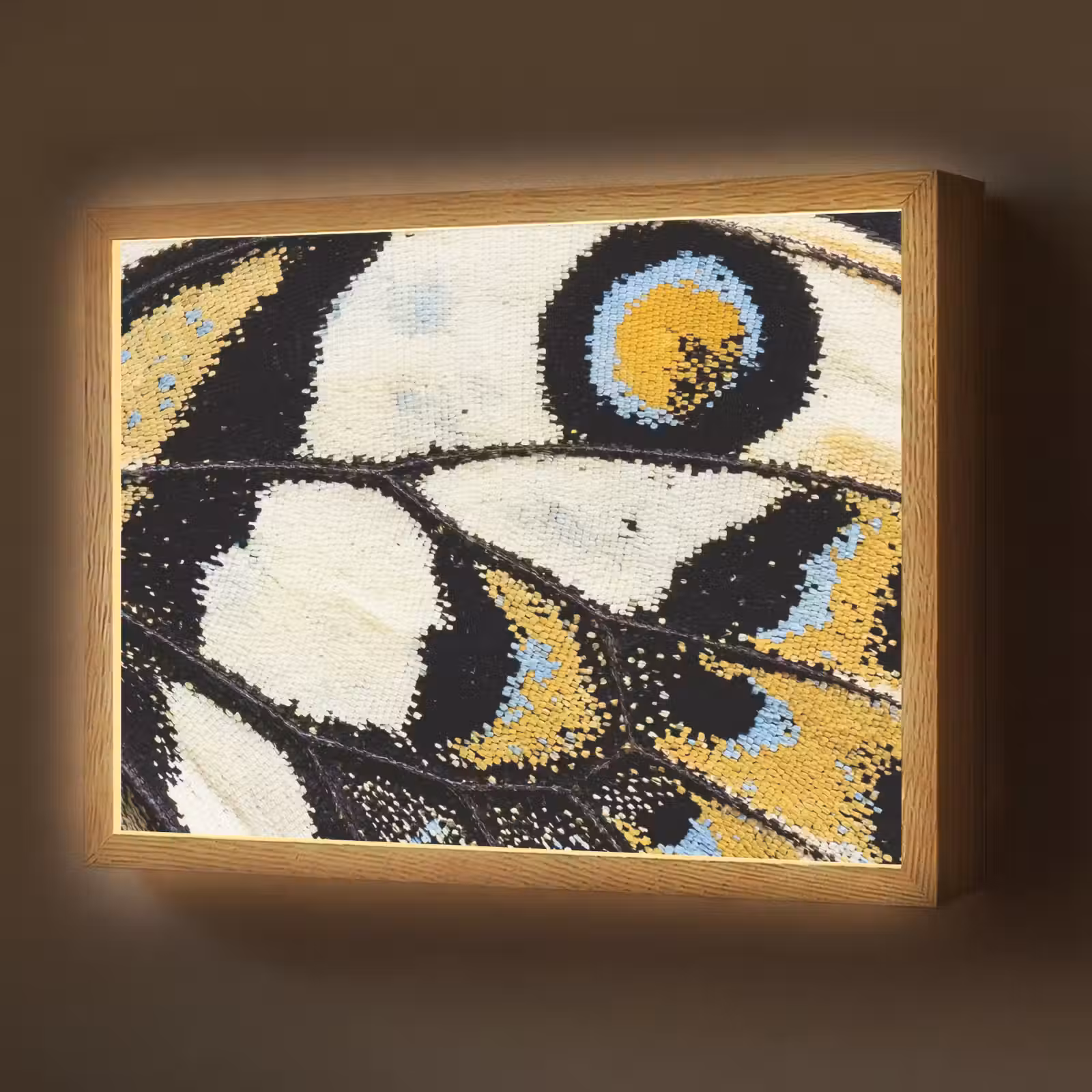 Lightbox - Wandlamp - Vlinder - Vleugel - Geel — 1