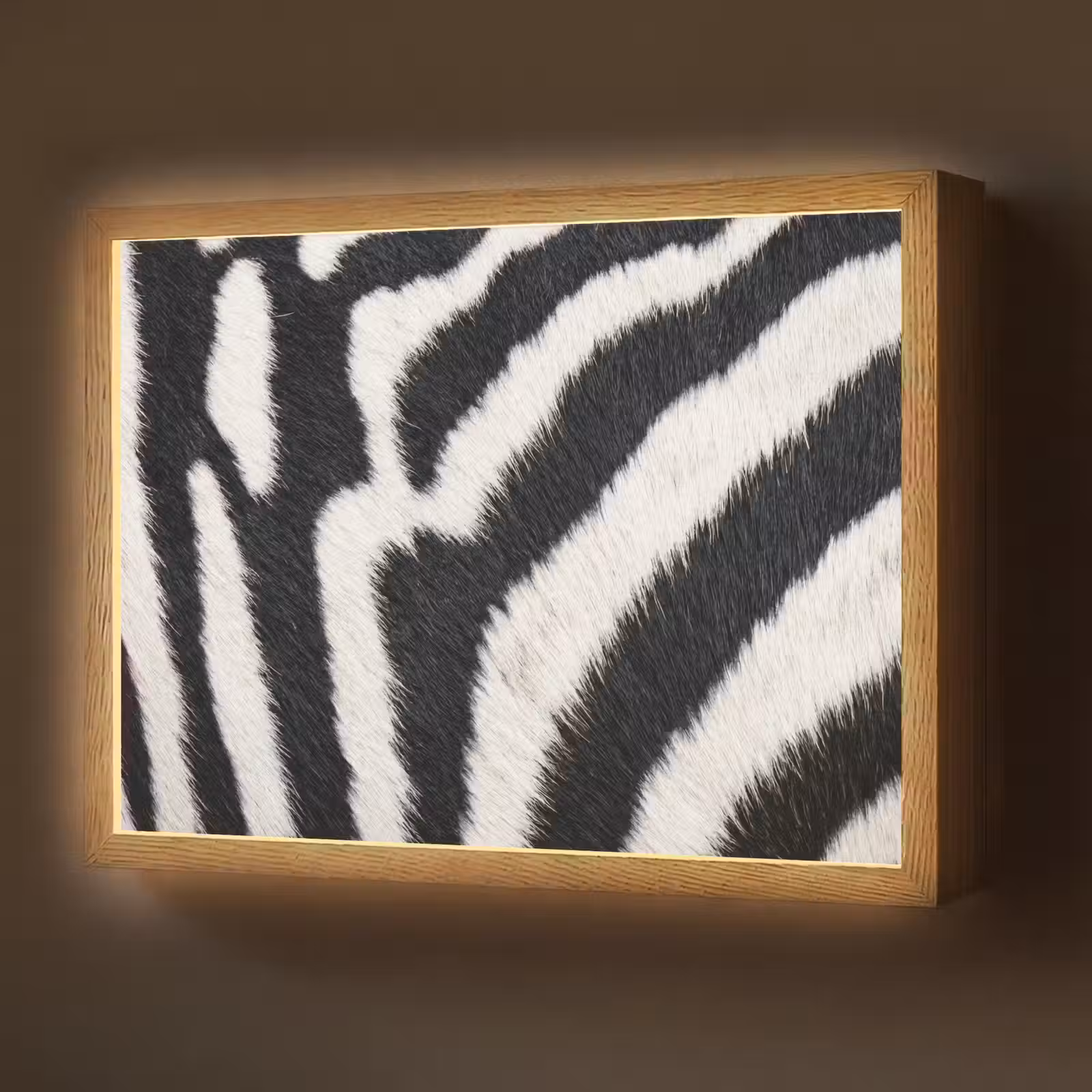 Lightbox - Wandlamp - Zebra - Vacht - Klassiek - Zwart - Wit — 1