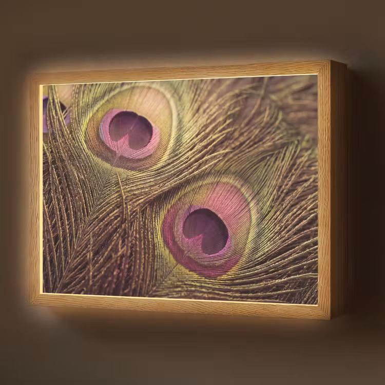 Lightbox - Wandlamp - Pauw - Veren - Paars - Groen — 1