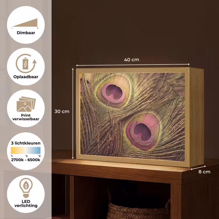 Lightbox - Wandlamp - Pauw - Veren - Paars - Groen — 10