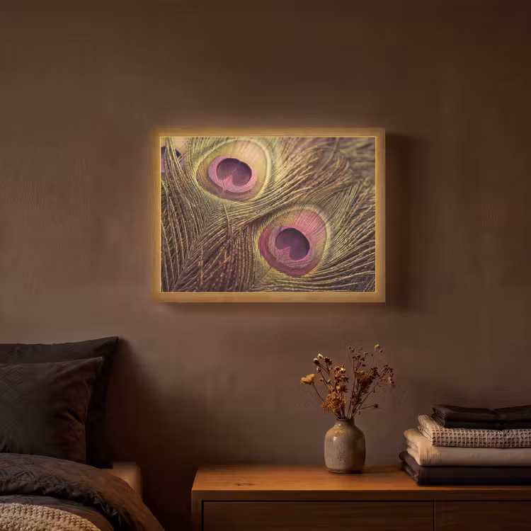 Lightbox - Wandlamp - Pauw - Veren - Paars - Groen — 3