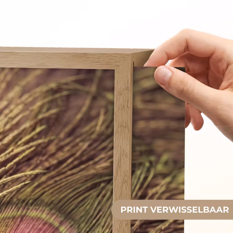 Lightbox - Wandlamp - Pauw - Veren - Paars - Groen — 5