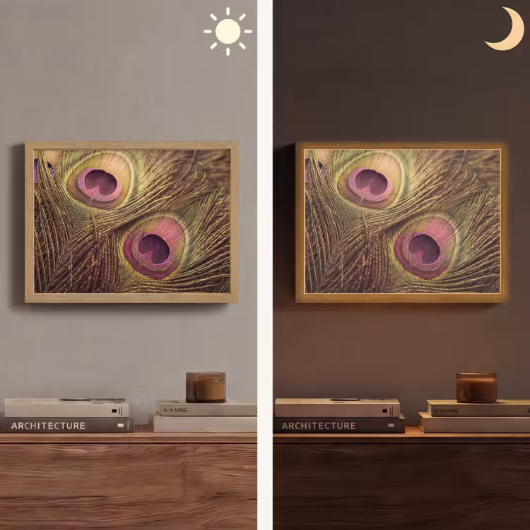 Lightbox - Wandlamp - Pauw - Veren - Paars - Groen — 6