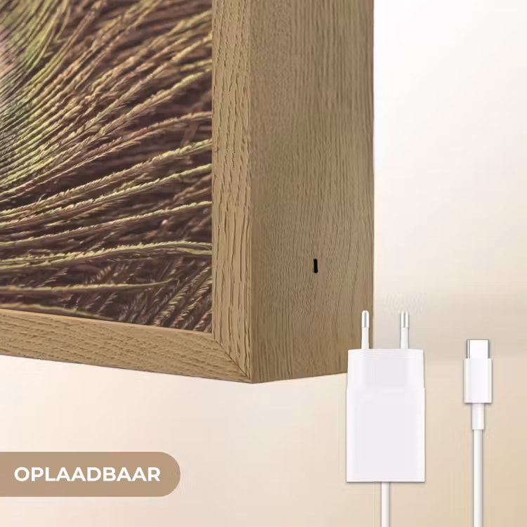 Lightbox - Wandlamp - Pauw - Veren - Paars - Groen — 7