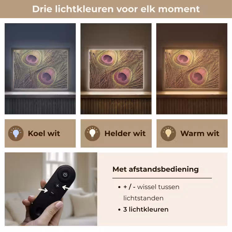 Lightbox - Wandlamp - Pauw - Veren - Paars - Groen — 8