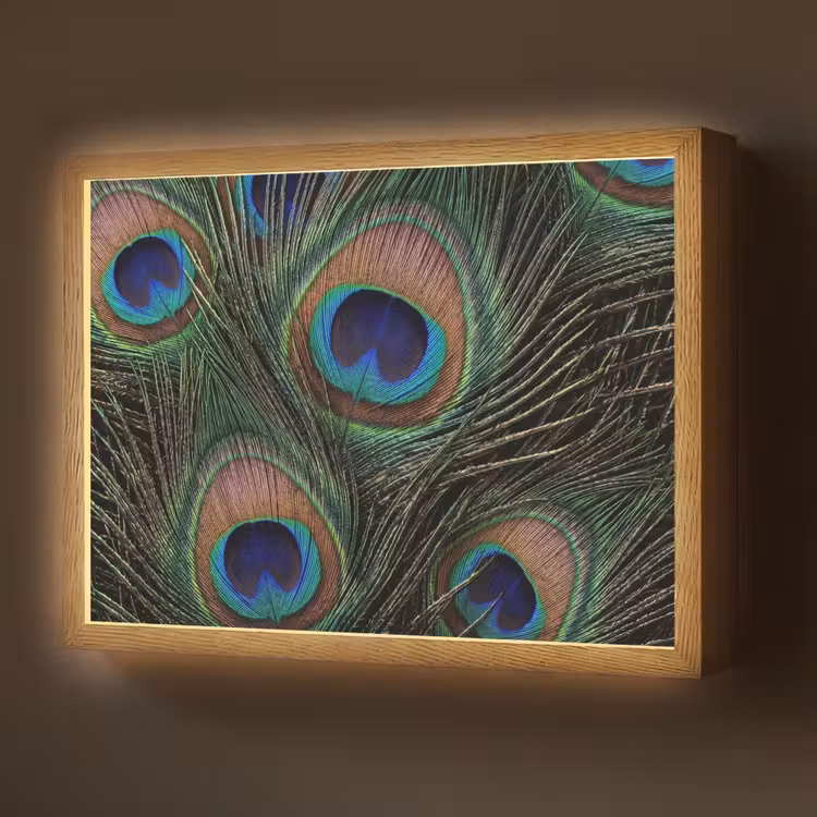 Lightbox - Wandlamp - Pauwenveren - Klassiek - Groen — 1