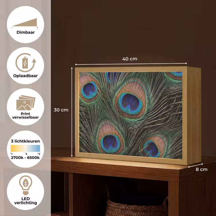 Lightbox - Wandlamp - Pauwenveren - Klassiek - Groen — 10