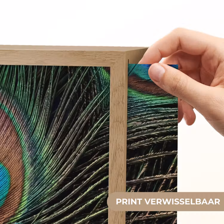 Lightbox - Wandlamp - Pauwenveren - Klassiek - Groen — 5