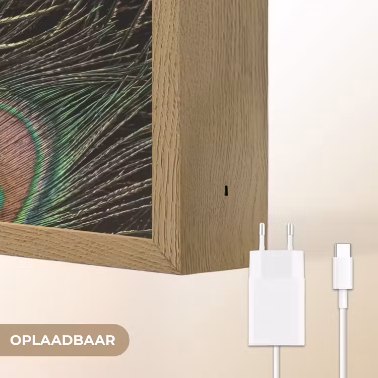 Lightbox - Wandlamp - Pauwenveren - Klassiek - Groen — 7