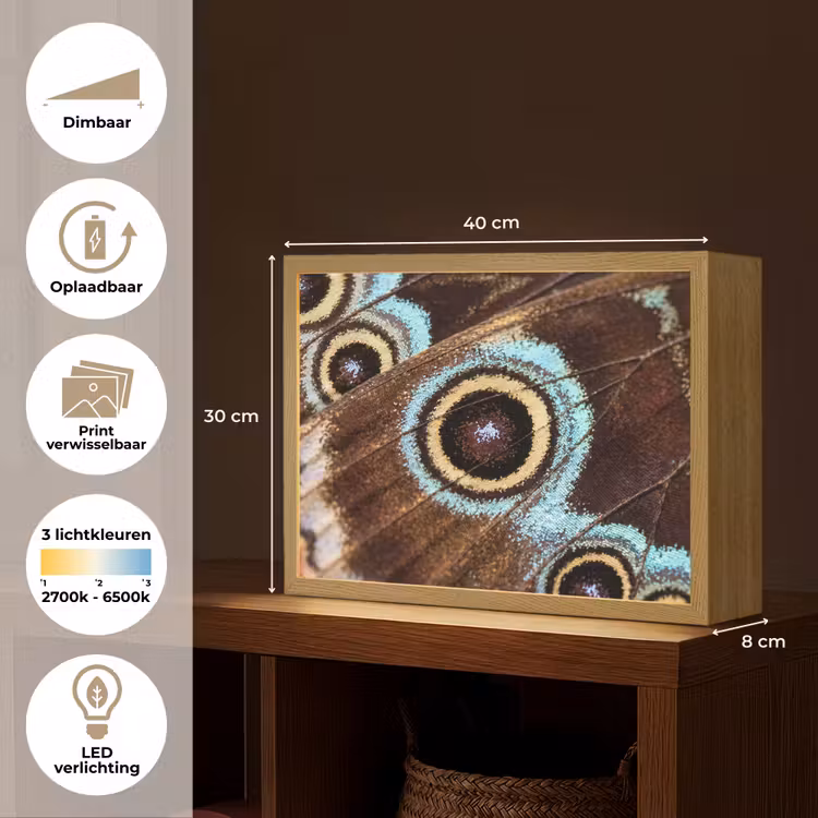 Lightbox - Wandlamp - Vleugels - Vlinder - Blauw — 10