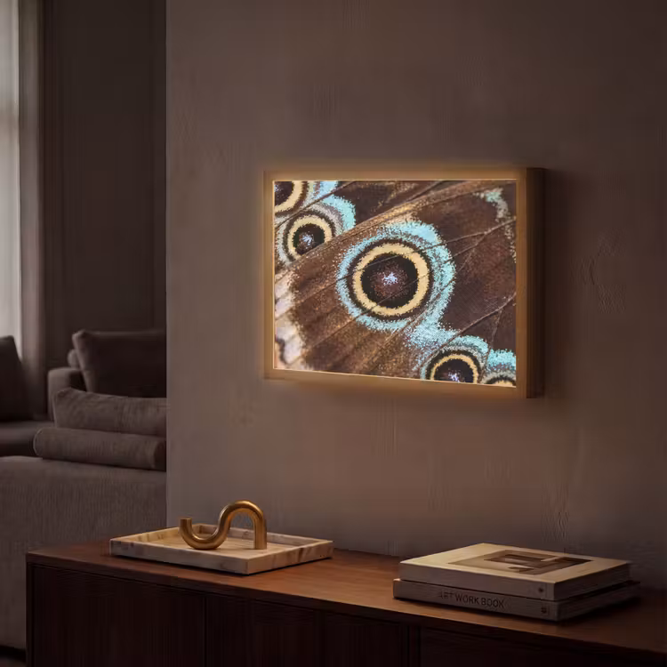 Lightbox - Wandlamp - Vleugels - Vlinder - Blauw — 2