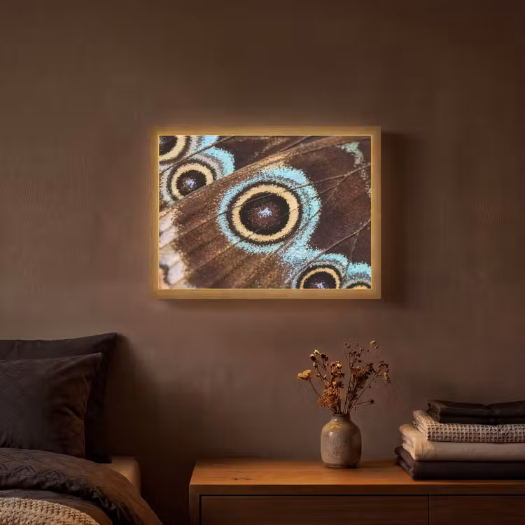 Lightbox - Wandlamp - Vleugels - Vlinder - Blauw — 3