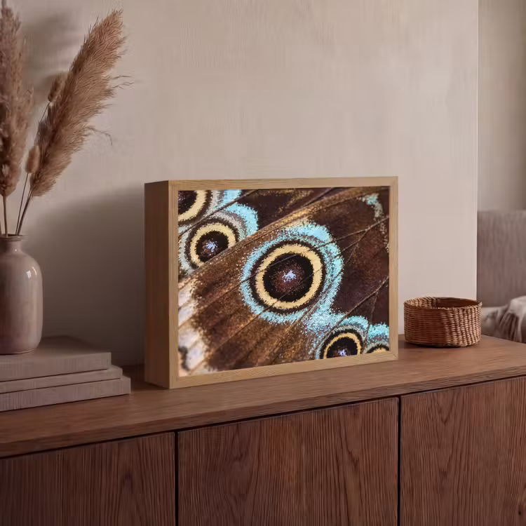 Lightbox - Wandlamp - Vleugels - Vlinder - Blauw — 4