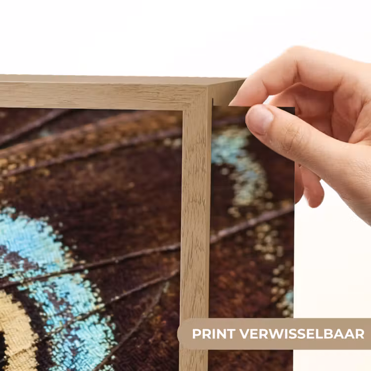 Lightbox - Wandlamp - Vleugels - Vlinder - Blauw — 5
