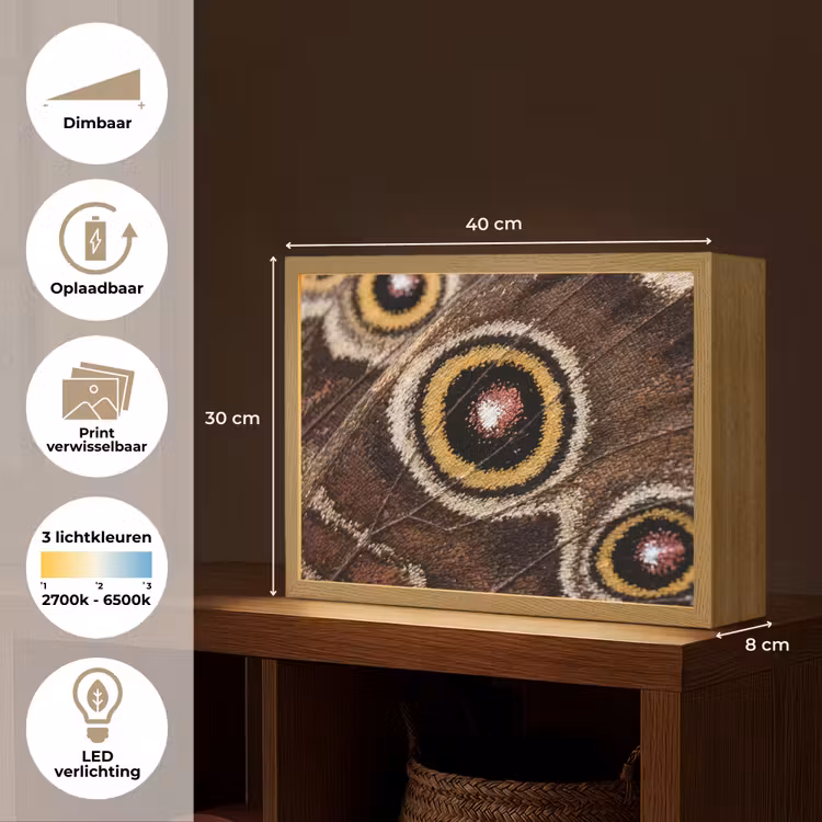 Lightbox - Wandlamp - Vlinder - Vleugel - Abstract — 10