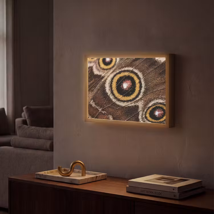 Lightbox - Wandlamp - Vlinder - Vleugel - Abstract — 2