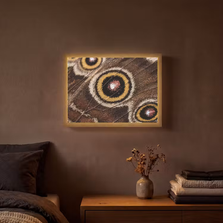 Lightbox - Wandlamp - Vlinder - Vleugel - Abstract — 3