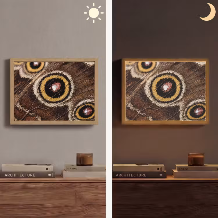 Lightbox - Wandlamp - Vlinder - Vleugel - Abstract — 6