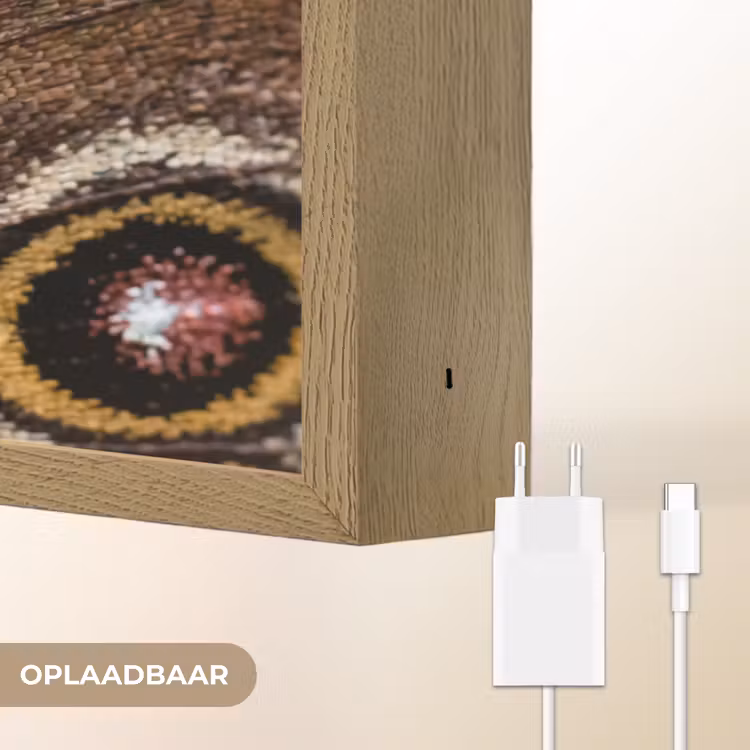 Lightbox - Wandlamp - Vlinder - Vleugel - Abstract — 7