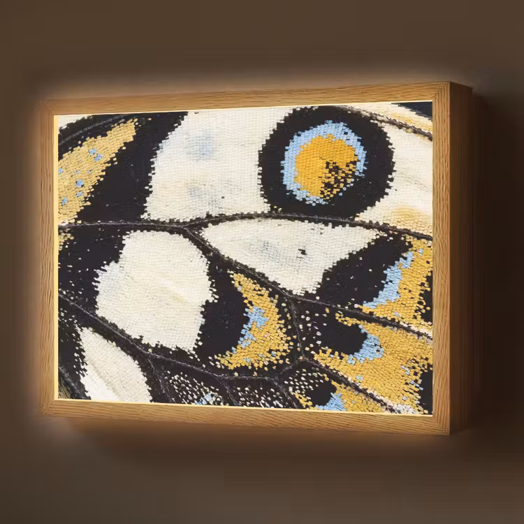 Lightbox - Wandlamp - Vlinder - Vleugel - Geel — 1