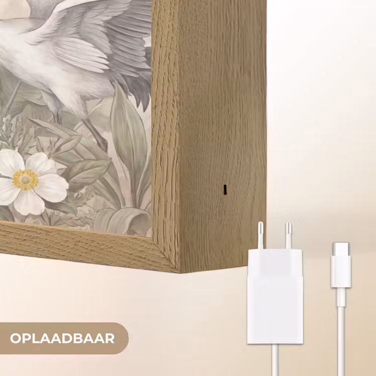 Lightbox - Wandlamp - Kraanvogels - Natuur - Roze — 7