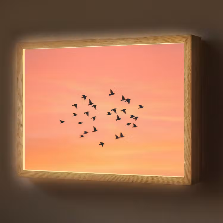 Lightbox - Wandlamp - Zwerm - Vogels - Oranje — 1