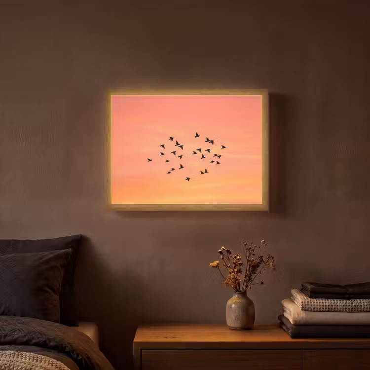 Lightbox - Wandlamp - Zwerm - Vogels - Oranje — 3