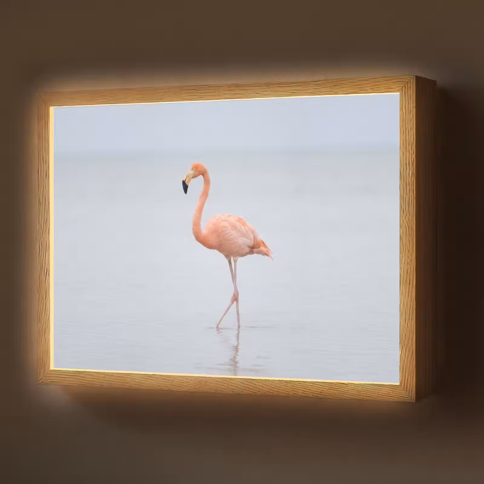 Lightbox - Wandlamp - Flamingo - Zee - Roze — 1