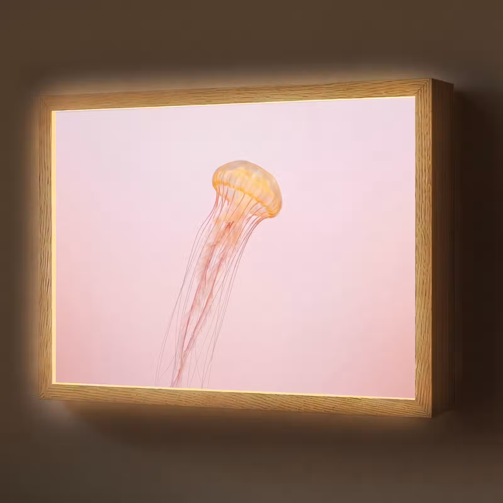 Lightbox - Wandlamp - Sierlijk - Kwal - Roze — 1