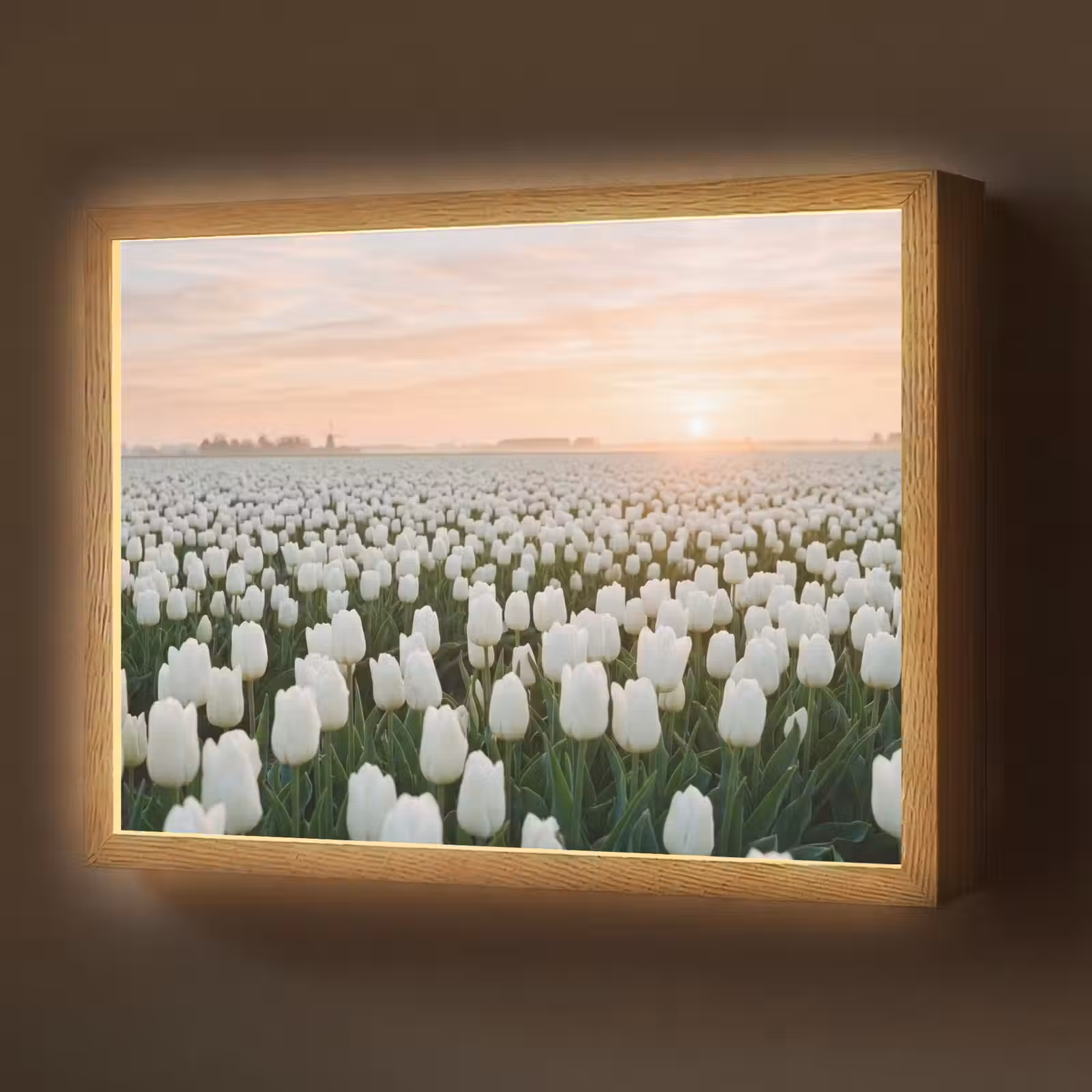 Lightbox - Wandlamp - Tulpen - Landschap - Wit — 1