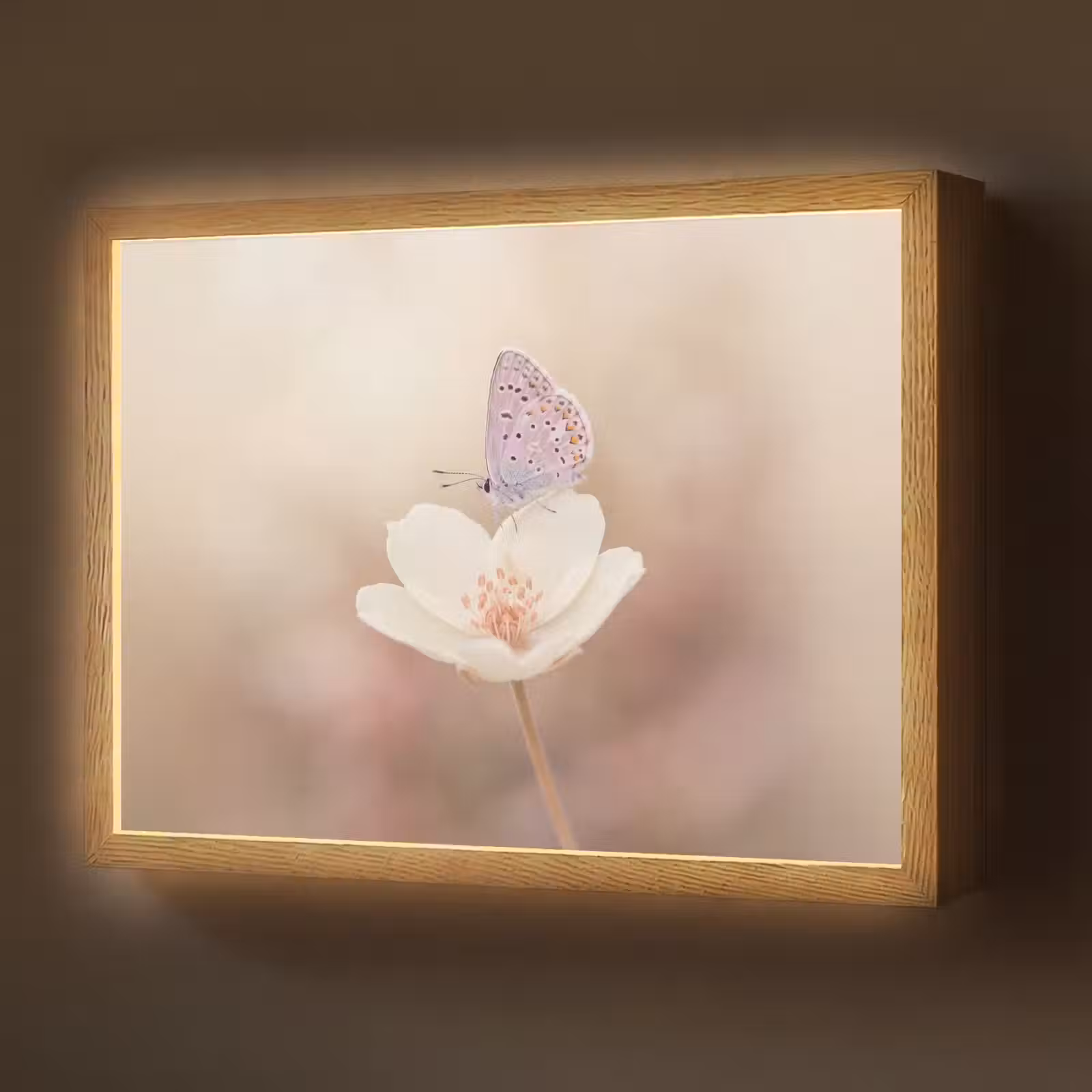 Lightbox - Wandlamp - Vlinder - Bloem - Blauw — 1