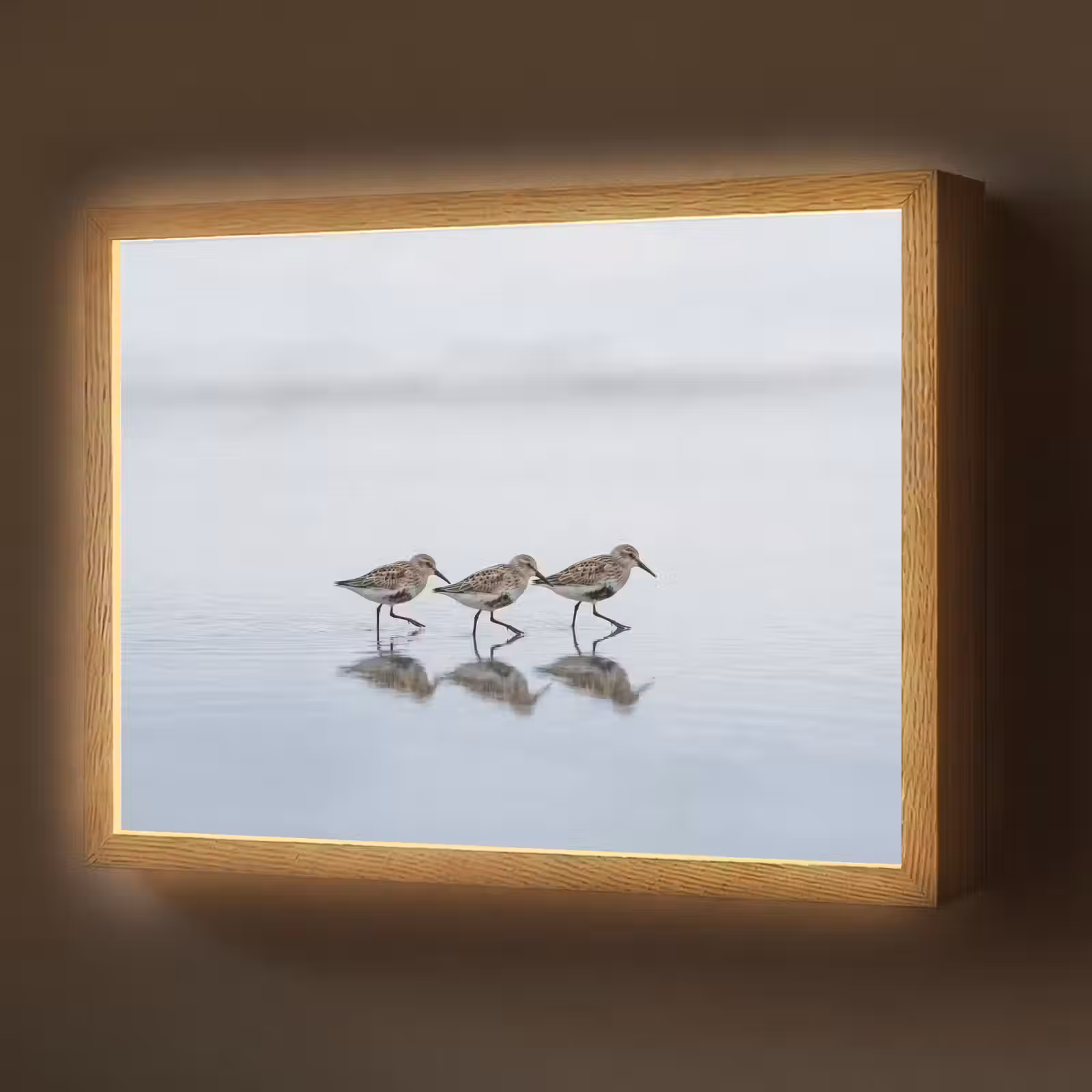 Lightbox - Wandlamp - Vogels - Water - Grijs — 1