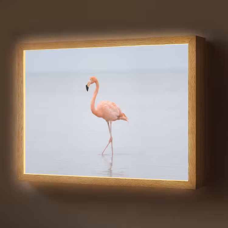 Lightbox - Wandlamp - Flamingo - Zee - Roze — 1