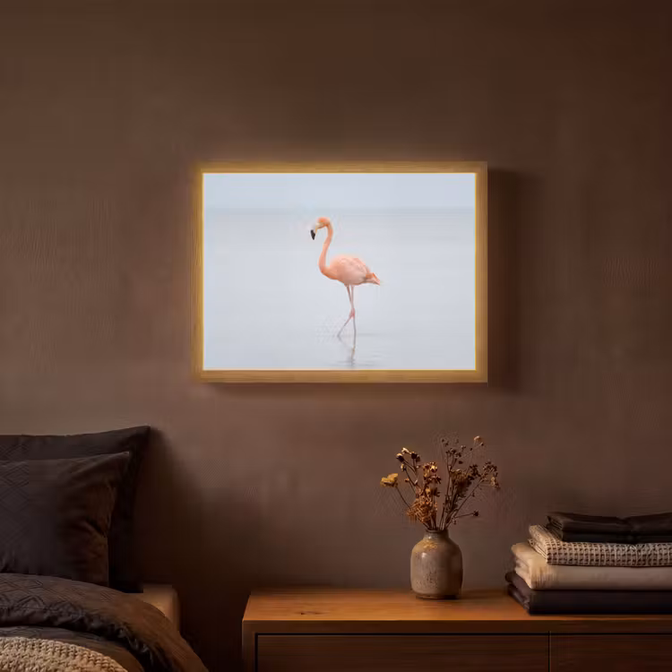 Lightbox - Wandlamp - Flamingo - Zee - Roze — 3