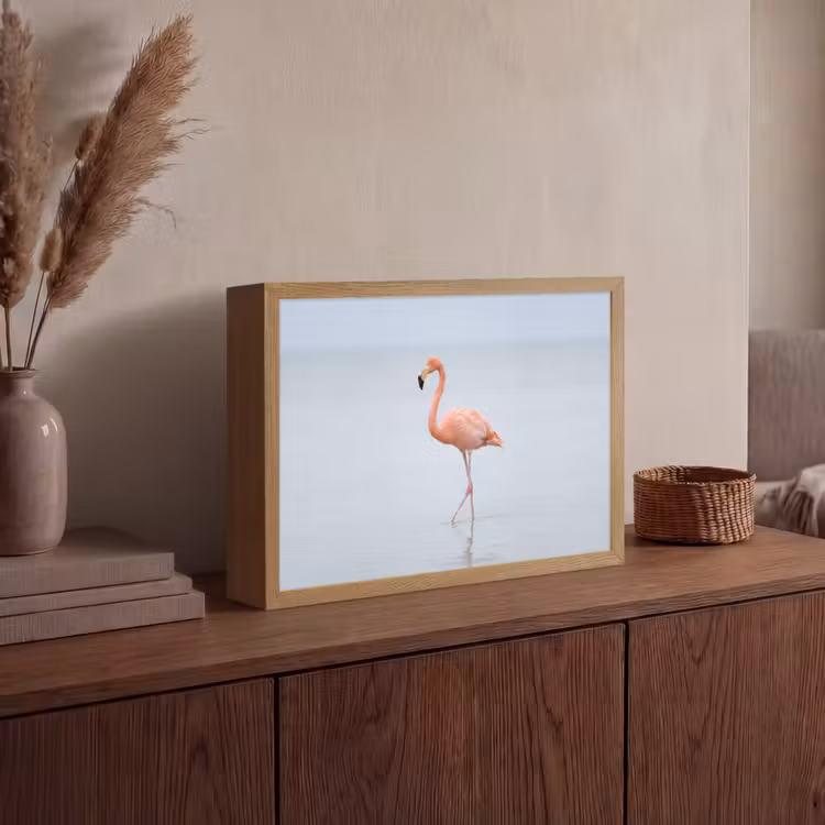 Lightbox - Wandlamp - Flamingo - Zee - Roze — 4