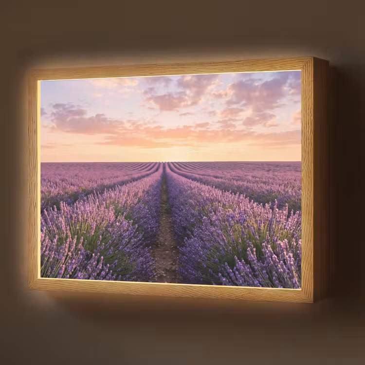 Lightbox - Wandlamp - Landschap - Lavendelveld - Paars — 1