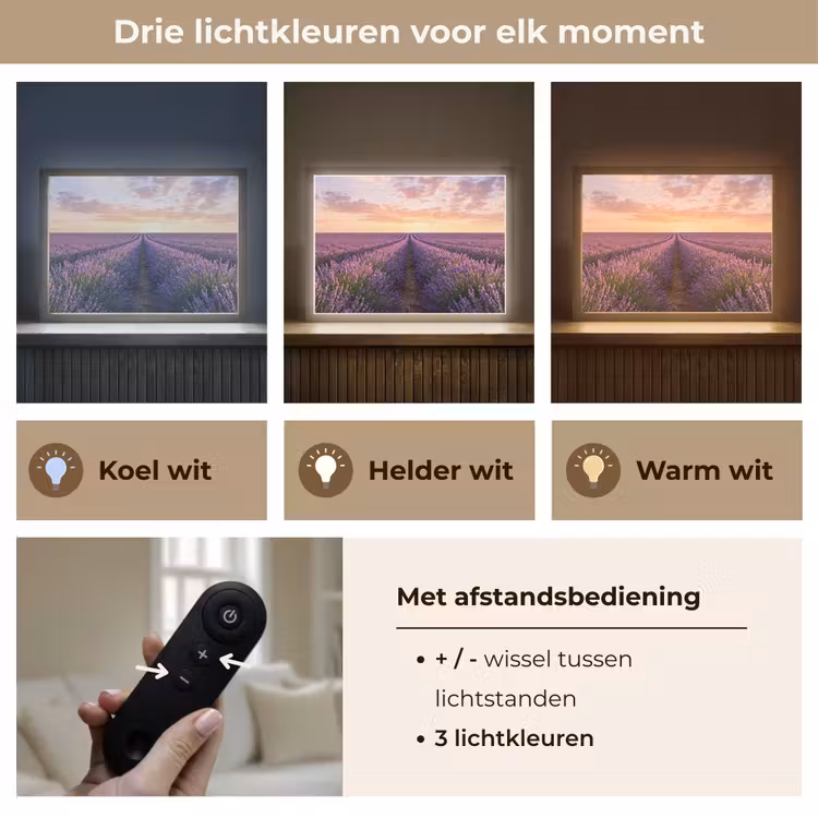 Lightbox - Wandlamp - Landschap - Lavendelveld - Paars — 8